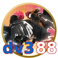 dv388
